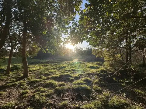 Venta Lotes 2.200m2 en Marcos Paz