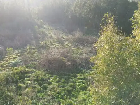 Terreno en Venta 51,09  mts Frente