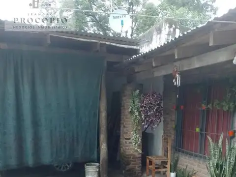 Lemos 10