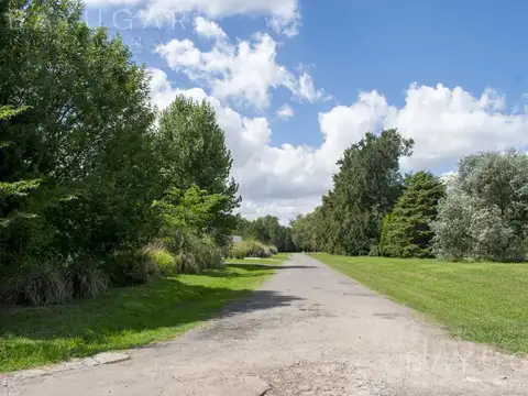 Terreno en Venta 45  mts Fondo
