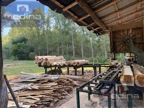 Venta de Chacra/Aserradero en Isla en Campana