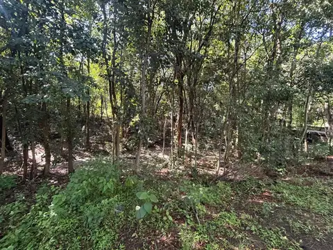 Terreno en Venta de 1005,0 m2
