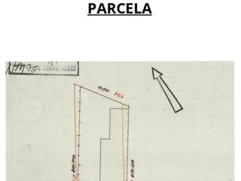 Curapaligüe 800