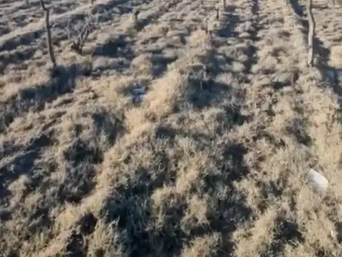 Terreno en Venta de 14200,0 m2