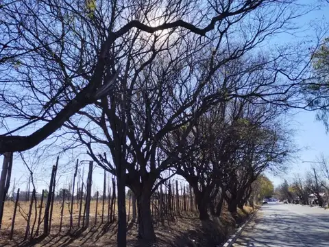 Terreno en Venta de 14200,0 m2