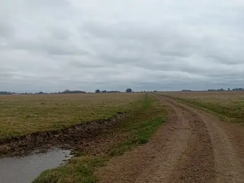 Ranchos, Gral. Paz Provincia de Buenos Aires - Cuartel V Lat.-35.406750, Long:-58.519928