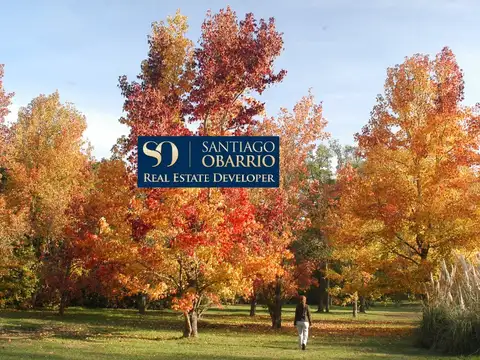 Terreno en Venta de 26000,0 m2