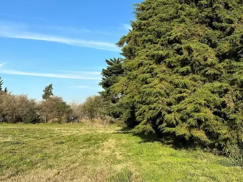 Terreno en Venta 15  mts Frente