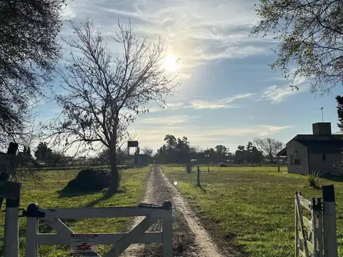 Terreno en Venta en Lisandro Olmos Etcheverry, USD 5.900