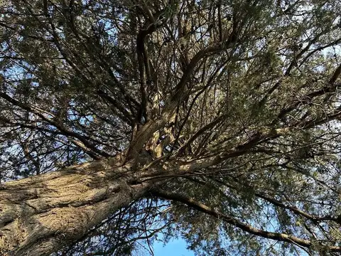 Terreno en Venta 30  mts Fondo