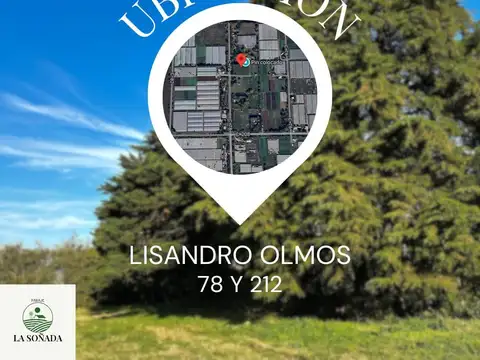 78 y 212 Lisandro Olmos