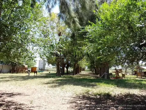 18 Hectares