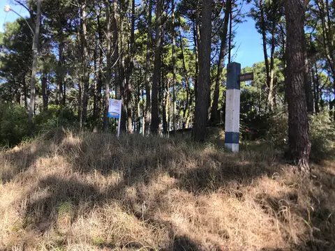 Padre Cardiel esquina Albatro