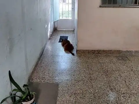 Casa 8 ambientes con 1 baño