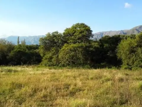 Terreno en Venta de 5000,0 m2