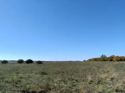 Campo en Venta de 11  ha