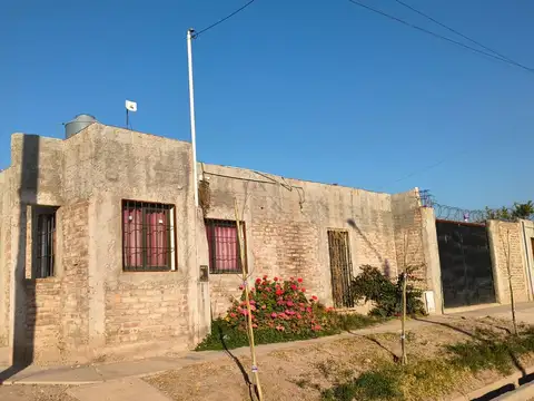 cordon del plata 100