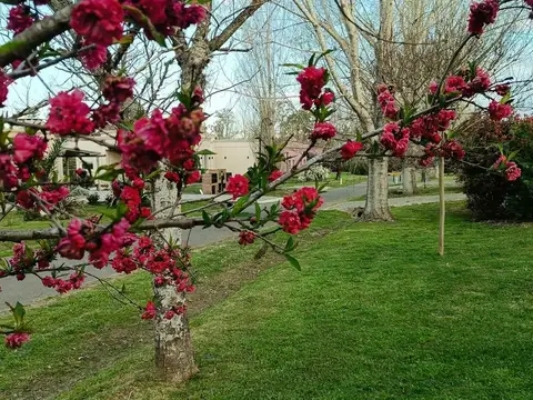 Terreno en Venta de 1500,0 m2