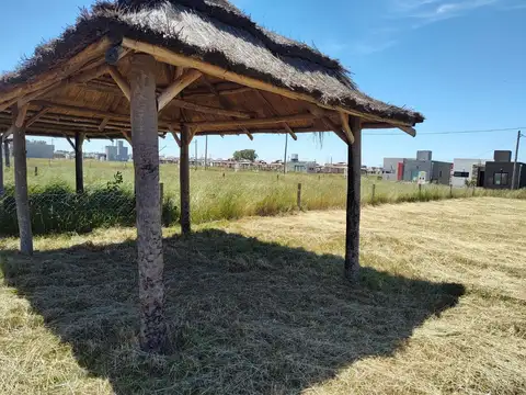 Calle Camino A Navarro