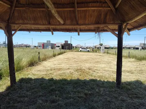 Calle Camino A Navarro