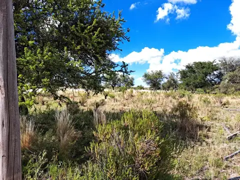 Terreno en Venta de 1000,0 m2