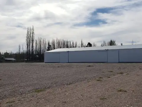 Alquilo Galpón 1200 m2 300 m2 ofi y predio 1 Hecta calle Rio