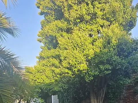 Casa en Alquiler Temporal de 3 dormitorios