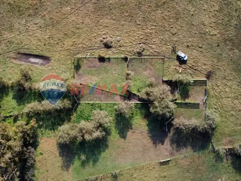 CAMPO VENTA SOBRE RUTA 11 GENERAL LAVALLE 392,6 HA