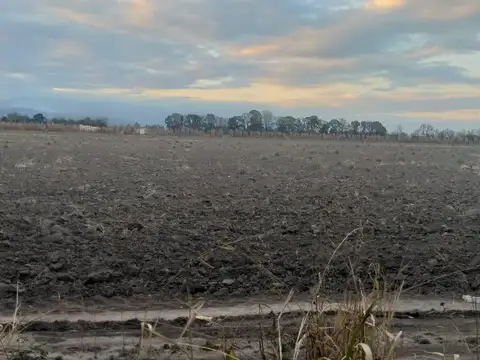 Chacra en Venta en Cerrillos
