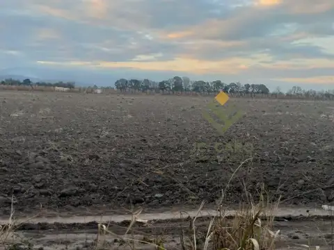 Chacra en Venta en Cerrillos
