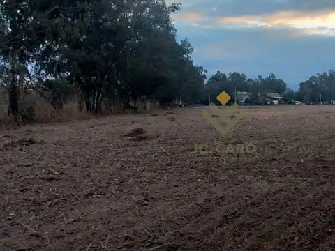 Chacra en Venta en Cerrillos