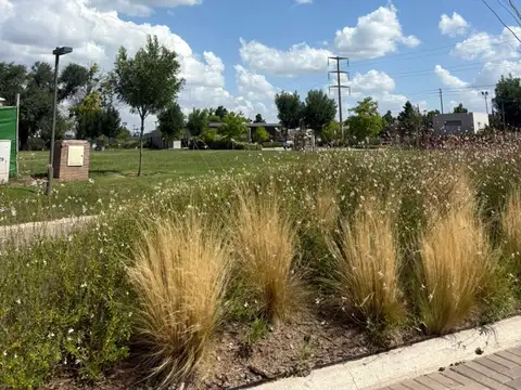 Terreno en Venta de 602,0 m2