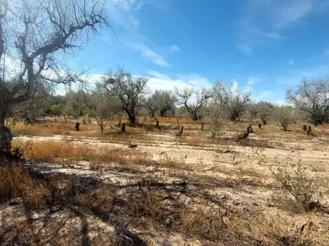 Terreno en Venta en Cruz De Piedra, USD 1.000.000