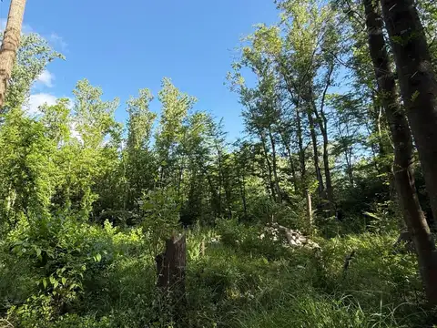 Terreno en Venta 51  mts Fondo