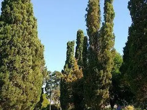 El Jagüel Country Club