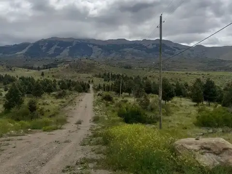 legua 7