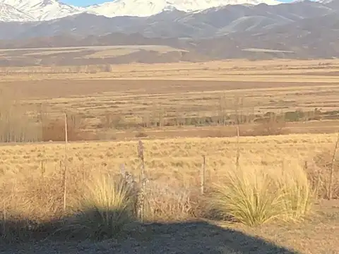 Terreno sobre Ruta 400. Barreal. San Juan
