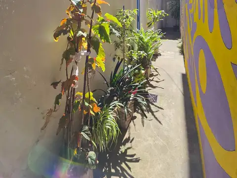 Depto Tipo Casa en Venta de 5 ambientes