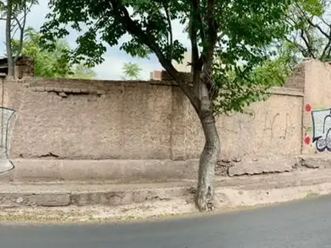 libertad y pedro del castillo