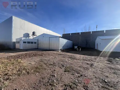 Galpon en alquiler - Parque industrial de Cipolletti