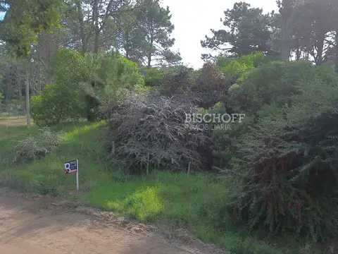 Terreno en Venta de 646,0 m2