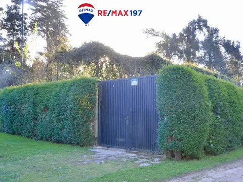 INVERTI EN TU FUTURO EN ESTE LOTE EN YEI-PORA