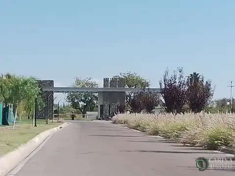 Corvalan sin n°, Junín, Mendoza,