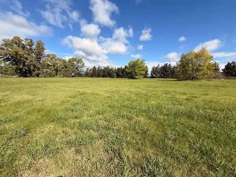 Terreno en Venta de 1500,0 m2