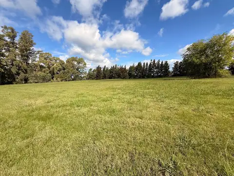 Terreno en Venta en Los Pinares Country Club, USD 28.000