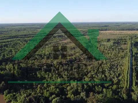 TERRENO - ISLA - Rio Parana A METROS DE PUERTO ESCOBAR