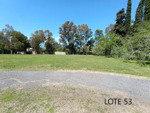 Terrenos en venta en La Arbolada