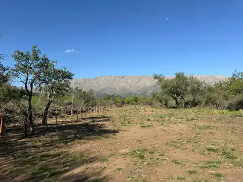 Terreno en Venta de 1,0 m2