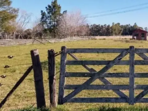 Terreno en venta - 3.520Mts2 - Gómez, Brandsen