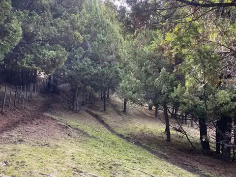 Campo en Venta Chacra